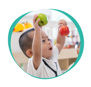 A toddler holding up a green apple in one hand and a red apple in the other.